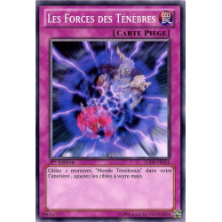 yu-gi-oh-tcg-lcjw-en254-c-les-forces-des-tenebres-collection-legendaire-4-le-monde-de-joey-mega-pack