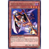 yu-gi-oh-tcg-lcjw-en258-r-pretresse-des-protecteurs-du-tombeau-collection-legendaire-4-le-monde-de-joey-mega-pack