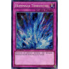 yu-gi-oh-tcg-lcjw-en294-se-hommage-torrentiel-collection-legendaire-4-le-monde-de-joey-mega-pack