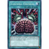 yu-gi-oh-tcg-lcyw-fr074-se-controle-cerebral-collection-legendaire-3-le-monde-de-yugi-mega-pack