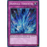 yu-gi-oh-tcg-lcyw-fr180-se-hommage-torrentiel-collection-legendaire-3-le-monde-de-yugi-mega-pack