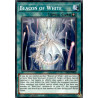 yu-gi-oh-tcg-lds2-en024-c-beacon-of-white-legendary-duelists-season-2
