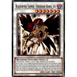 yu-gi-oh-tcg-lds2-en042-c-blackwing-tamer-obsidian-hawk-joe-legendary-duelists-season-2
