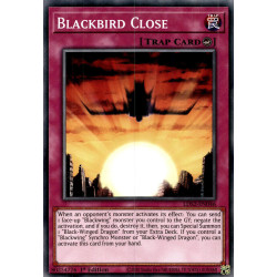 yu-gi-oh-tcg-lds2-en046-c-blackbird-close-legendary-duelists-season-2
