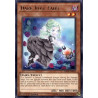 yu-gi-oh-tcg-led4-en024-r-dark-rose-fairy-legendary-duelists-sisters-of-the-rose
