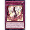 yu-gi-oh-tcg-led4-en027-r-blooming-of-the-darkest-rose-legendary-duelists-sisters-of-the-rose