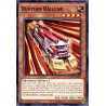 yu-gi-oh-tcg-led4-en042-c-ruffian-railcar-legendary-duelists-sisters-of-the-rose