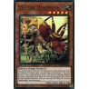 yu-gi-oh-tcg-led5-en024-ur-ascator-dawnwalker-legendary-duelists-immortal-destiny