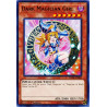 yu-gi-oh-tcg-led6-en000-c-dark-magician-girl-legendary-duelists-magical-hero