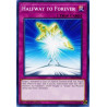 yu-gi-oh-tcg-led6-en044-c-halfway-to-forever-legendary-duelists-magical-hero