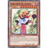 yu-gi-oh-tcg-led8-en028-c-sorciere-de-fleur-legendary-duelists-synchro-storm