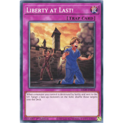 yu-gi-oh-tcg-led8-en034-c-liberty-at-last-legendary-duelists-synchro-storm