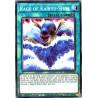 yu-gi-oh-tcg-led9-en027-c-rage-of-kairyu-shin-legendary-duelists-duels-from-the-deep