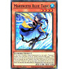 yu-gi-oh-tcg-led9-en051-c-marincess-blue-tang-legendary-duelists-duels-from-the-deep