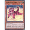 yu-gi-oh-tcg-ledu-en009-ur-amazoness-baby-tiger-legendary-duelists