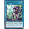 yu-gi-oh-tcg-ledu-en010-r-amazoness-call-legendary-duelists