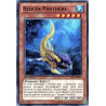 yu-gi-oh-tcg-ltgy-fr010-c-requin-panthere-le-seigneur-de-la-galaxie-tachyon
