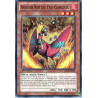 yu-gi-oh-tcg-ltgy-fr034-c-avatar-roi-du-feu-garunix-le-seigneur-de-la-galaxie-tachyon
