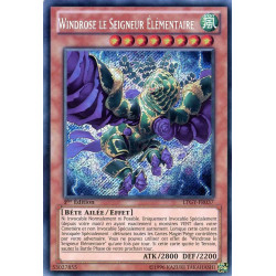 yu-gi-oh-tcg-ltgy-fr037-se-windrose-le-seigneur-lementaire-le-seigneur-de-la-galaxie-tachyon