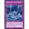 yu-gi-oh-tcg-ltgy-fr071-se-renaissance-torrentielle-le-seigneur-de-la-galaxie-tachyon