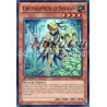 yu-gi-oh-tcg-lval-fr018-sr-chevalifeuille-sylvan-l-heritage-des-braves