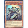 yu-gi-oh-tcg-lval-fr034-ur-devin-des-protecteurs-du-tombeau-l-heritage-des-braves