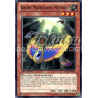 yu-gi-oh-tcg-lval-fr035-c-graine-macrocarpa-mystique-l-heritage-des-braves