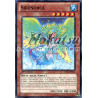 yu-gi-oh-tcg-lval-fr041-c-sirenorca-l-heritage-des-braves