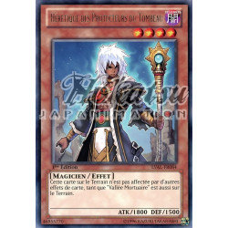 yu-gi-oh-tcg-lval-fr084-r-heretique-des-protecteurs-du-tombeau-l-heritage-des-braves