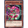 yu-gi-oh-tcg-lval-fr093-c-sorciere-de-la-rose-l-heritage-des-braves