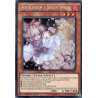 yu-gi-oh-tcg-macr-en036-se-ash-blossom-joyous-spring-maximum-crisis