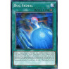 yu-gi-oh-tcg-macr-en061-r-zefra-providence-maximum-crisis