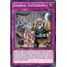yu-gi-oh-tcg-macr-en071-c-zoodiac-gathering-maximum-crisis