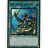 yu-gi-oh-tcg-mago-en046-pgr-reinforcement-of-the-army-maximum-gold