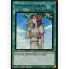 yu-gi-oh-tcg-mago-en048-pgr-forbidden-chalice-maximum-gold
