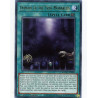 yu-gi-oh-tcg-mago-en090-gr-domain-of-the-true-monarchs-maximum-gold
