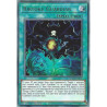 yu-gi-oh-tcg-maze-en009-r-riryoku-guardian-maze-of-memories