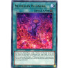 yu-gi-oh-tcg-mged-en087-gr-numeron-network-maximum-gold-el-dorado