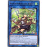 yu-gi-oh-tcg-mged-en120-gr-wynn-the-wind-charmer-verdant-maximum-gold-el-dorado