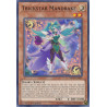 yu-gi-oh-tcg-mp19-en005-c-trickstar-mandrake-2019-gold-sarcophagus-tin-mega-pack