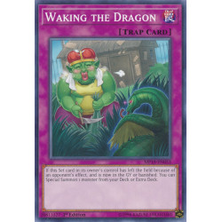 yu-gi-oh-tcg-mp19-en053-c-waking-the-dragon-2019-gold-sarcophagus-tin-mega-pack