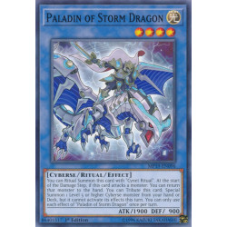yu-gi-oh-tcg-mp19-en096-c-paladin-of-storm-dragon-2019-gold-sarcophagus-tin-mega-pack