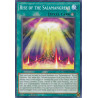 yu-gi-oh-tcg-mp19-en195-c-rise-of-the-salamangreat-2019-gold-sarcophagus-tin-mega-pack