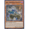yu-gi-oh-tcg-mp19-en248-c-seal-strategist-fur-hire-2019-gold-sarcophagus-tin-mega-pack