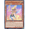 yu-gi-oh-tcg-mvp1-en051-se-lemon-magician-girl-yu-gi-oh-the-dark-side-of-dimensions-movie-pack