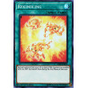 yu-gi-oh-tcg-myfi-en055-sr-rekindling-mystic-fighters