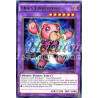 yu-gi-oh-tcg-nech-fr046-r-ours-frourreur-les-nouveaux-challengers
