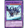 yu-gi-oh-tcg-nech-fr050-sr-premier-des-dragons-les-nouveaux-challengers