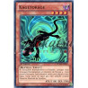 yu-gi-oh-tcg-numh-fr018-sr-kagetokage-chasseurs-de-numeros