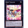 yu-gi-oh-tcg-numh-fr051-sr-bebe-tiragon-chasseurs-de-numeros